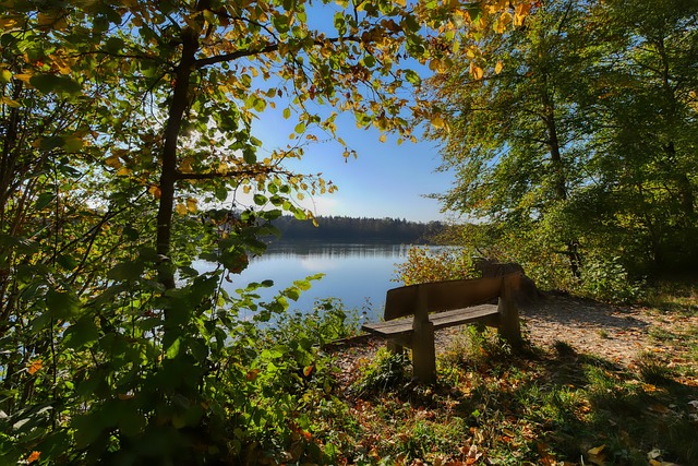 不可替代的 不可替代的