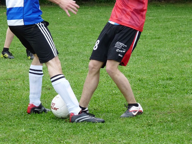 这些新人不 这些新人不